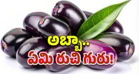 PSR Anjaneyulu: జత్వానీ న్యూడ్ ఫోటోలు.. రిమాండ్ రిపోర్టులో సంచలన విషయాలు..