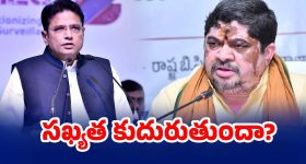 Sundar C: నయనతార కమిట్మెంట్ ఆ రేంజ్ లో ఉంటుంది