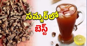 Health Benefits: సమ్మర్‌లో ఆ లక్షణాలుంటే ‘నన్నారి’ బెస్ట్ మెడిషన్