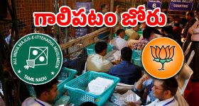 Hyderabad MLC election: హైదరాబాద్ ఎమ్మెల్సీ ఎన్నికలో ఎంఐఎం విక్టరీ, బీజేపీకి కలిసిరాని క్రాస్ ఓటింగ్