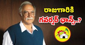 Black Rice: బ్లాక్ రైస్ తింటే.. ఎన్ని లాభాలో తెలిస్తే ఆశ్చర్యపోవడం గ్యారంటీ !
