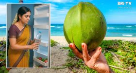 Coconut Water: కొబ్బరి నీళ్లను ఫ్రిజ్‌లో పెట్టకూడదా?
