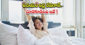 Morning Vastu Tips: ఉదయం నిద్ర లేవగానే చూడకూడనివి ఇవే !