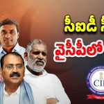 CID Investigation: వైసీపీలో టెన్షన్ టెన్షన్.. నెక్స్ట్ ఎవరు ?