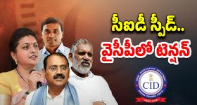 CID Investigation: వైసీపీలో టెన్షన్ టెన్షన్.. నెక్స్ట్ ఎవరు ?