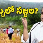 Sajjala Family: చిక్కుల్లో సజ్జల ఫ్యామిలీ.. రేపో మాపో చర్యలకు అంతా రెడీ!
