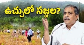 Sajjala Family: చిక్కుల్లో సజ్జల ఫ్యామిలీ.. రేపో మాపో చర్యలకు అంతా రెడీ!