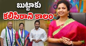 CM Chandrababu: శాశ్వత రాజధాని అమరావతేనా..? సీఎం కీలక వ్యాఖ్యలు..