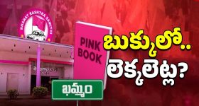 BRS Pink Book: పింక్ బుక్ రెడీ.! వడ్డీతో సహా చెల్లిస్తా!