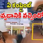 Leopard In Police station: పోలీస్ స్టేషన్‌లోకి చిరుత ఎంట్రీ.. కాసేపు లా అండ్ ఆర్డర్ నాకు వదిలేయండి!