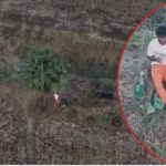 Drone Cameras: అయ్య బాబోయ్.. ప్రశాంతత కోసం వస్తే.. పరుగో పరుగు, ఏం జరిగింది?