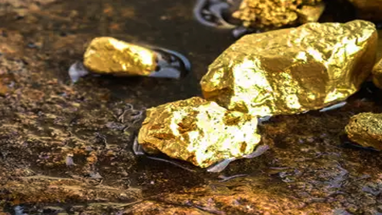 Gold Mining: పొలాల్లో కాదు..వెయ్యి టన్నుల గోల్డ్ నిక్షేపాలు, ఈ దేశానికి వరించిన అదృష్టం..
