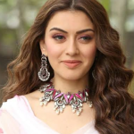 Hansika: గృహ హింస కేసుపై హైకోర్టుకు హన్సిక.. కేసు కొట్టేయాలని విజ్ఞప్తి..