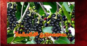Indian Rrailway History: భారతీయ రైల్వేకు 172 ఏళ్లు, 1853 నుంచి ఎన్నో అద్భుతాలు!
