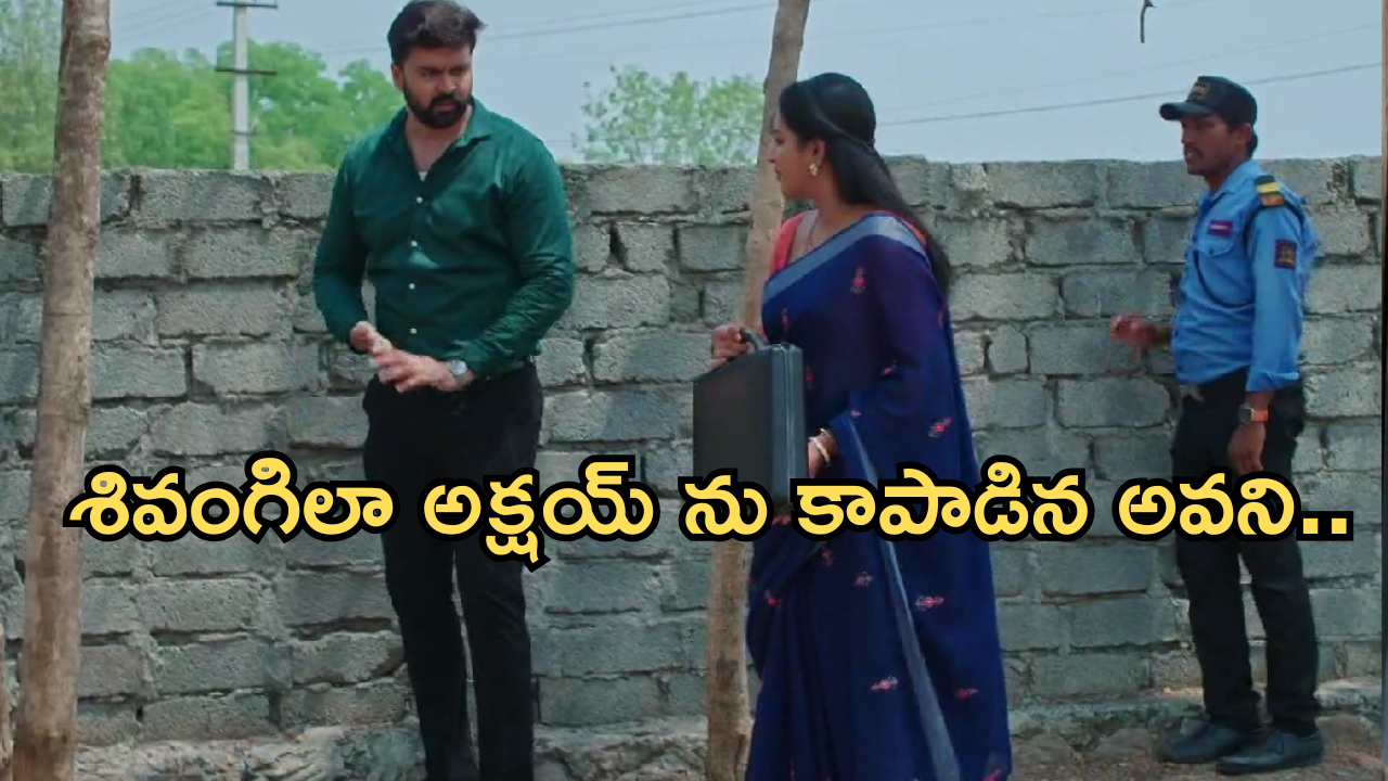 Intinti Ramayanam Today Episode: ఆరాధ్య కోసం పల్లవి ప్లాన్.. అవనిని క్షమాపణలు అడిగిన రాజేంద్రప్రసాద్..