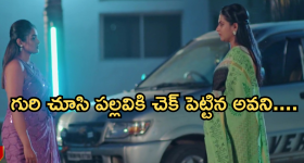 Intinti Ramayanam Today Episode: పల్లవిని ఓ ఆట ఆడుకున్న అవని.. సీతారాముల కళ్యాణంకు ముహూర్తం ఫిక్స్..