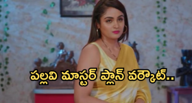 Trump Tariff: టారిఫ్ వార్.. ట్రంప్‌కు షాకిచ్చిన సొంత పార్టీ నేతలు..