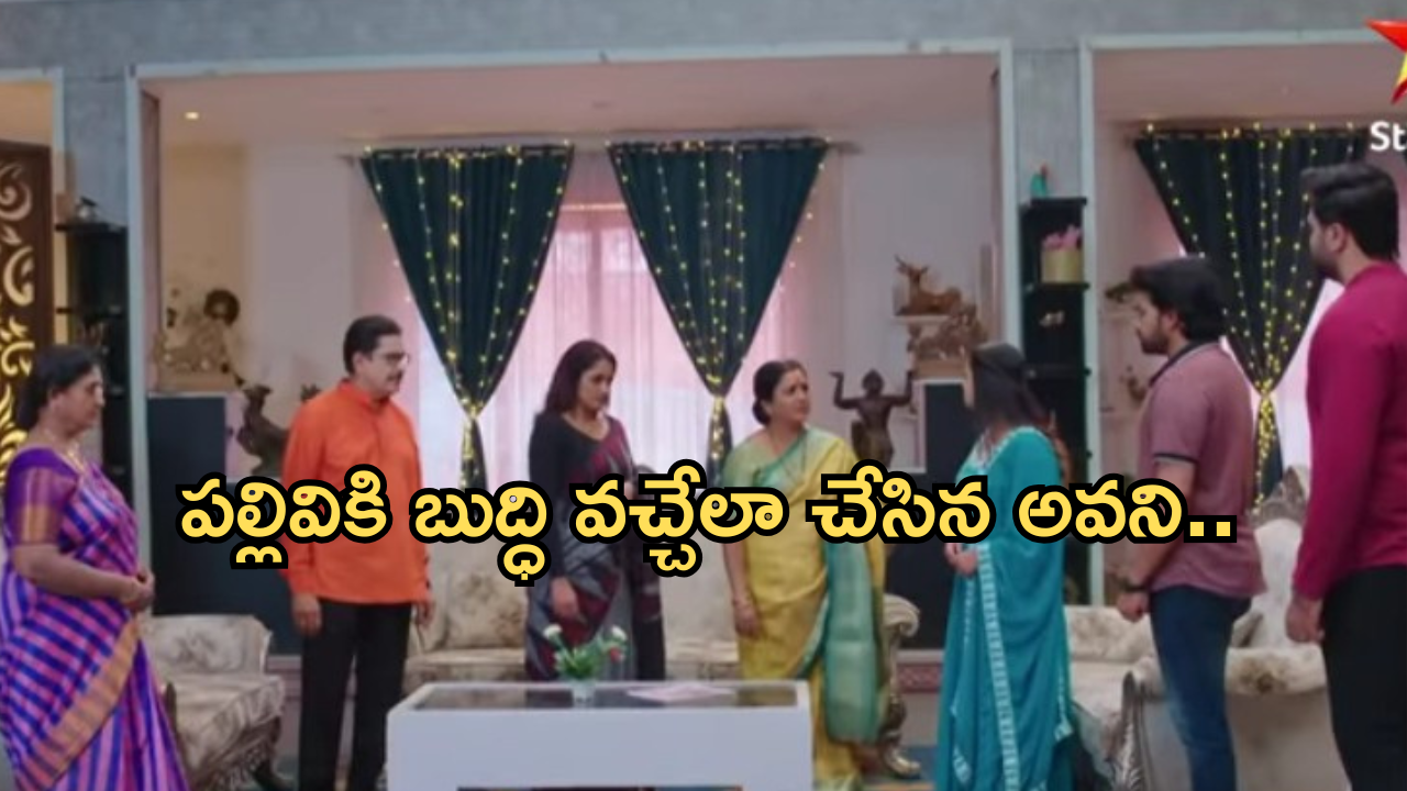 Intinti Ramayanam Today Episode: అవని గురించి నిజం చెప్పిన ప్రణతి.. పార్వతి నమ్ముతుందా..?