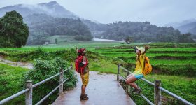 Kerala Trip: సమ్మర్ హాలీడేస్‌లో కేరళాకు వెళ్లొచ్చా? వేసవిలోనూ చల్లగా ఉండే ప్లేస్‌లు ఏమిటీ?