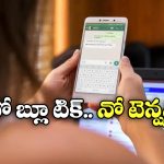 WhatsApp Blue Tick: వాట్సాప్‌లో ‘బ్లూ టిక్’ తీసేసే వ్యక్తుల మనస్తత్వం ఇలా ఉంటుందా? టూ మచ్!