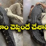 Viral Video: మొసలితో ఆటలా? ఏం చేసిందో చూడండి.. నీ కల తగలెయ్య!