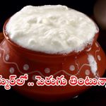 Curd Benefits: సమ్మర్‌లో పెరుగు తింటే.. మతిపోయే లాభాలు !