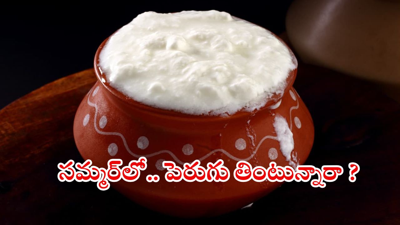 Curd Benefits: సమ్మర్‌లో పెరుగు తింటే.. మతిపోయే లాభాలు !