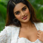 Nidhi Agarwal: నెటిజన్స్ కు దిమ్మతిరిగే కౌంటర్.. నిధిలో ఈ యాంగిల్ కూడా ఉందా..?
