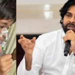 Pawan Kalyan : మార్క్ శంకర్ పై బూతు ట్రోల్స్… అల్లు అర్జున్ ఫ్యాన్ అరెస్ట్..