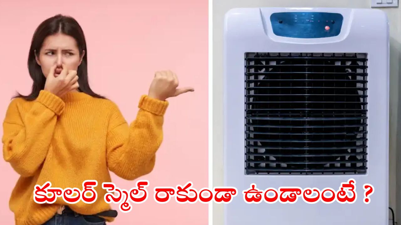 Cooler Bad Smell: కూలర్ నుంచి బ్యాడ్ స్మిల్ వస్తోందా ? ఇలా చేస్తే.. ప్రాబ్లమ్ సాల్వ్