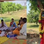 Viral News : మామిడి చెట్లకు పెళ్లి.. ఎందుకు చేశారో తెలిస్తే…