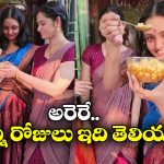 Alekhya Chitti Pickles: ఏంటీ అలేఖ్య పచ్చళ్లు తింటే.. గర్భం వస్తుందా?