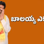 Balakrishna: మహానాడులో బాలయ్య ఎక్కడ? అందుకే రాలేకపోయారా?