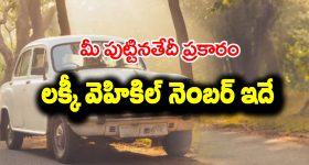 OTT Movie : మనుషులపై పగ తీర్చుకోవాలనుకునే మర్మైడ్స్... సస్పెన్స్ తో పిచ్చెక్కించే ఫ్యాంటసీ థ్రిల్లర్