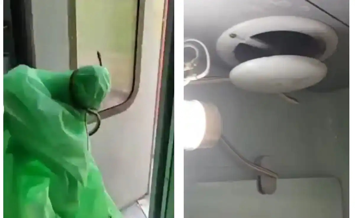 Snake in Train: ట్రైన్ టాయిలెట్‌లో పాము.. ఇదిగో ఇలా పట్టేసుకున్నారు!