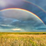 Rainbow: ఇంద్రధనుస్సు ఎలా వస్తుంది? ఇందులో 7 రంగులే ఎందుకు ఉంటాయి?