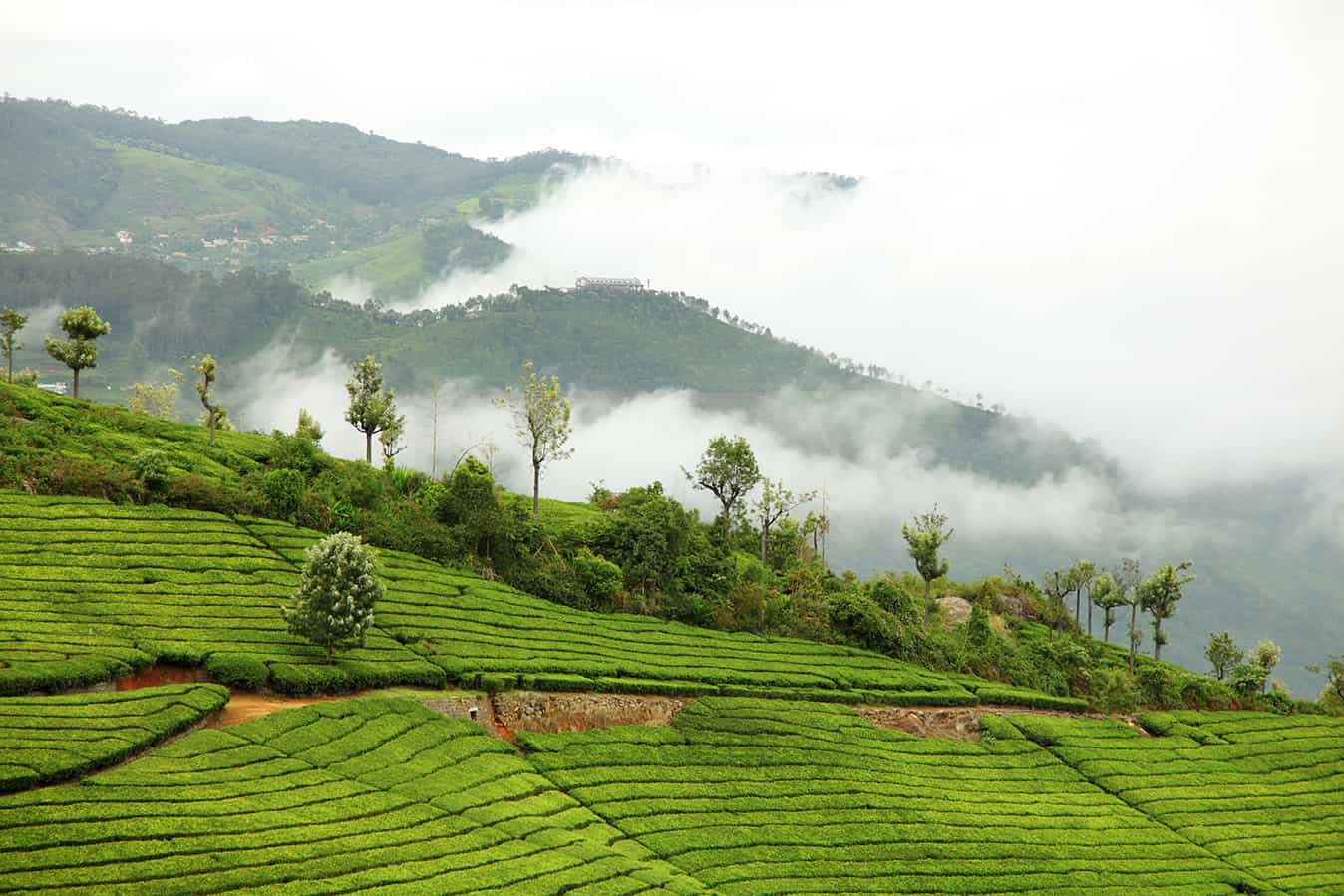 Coonoor: సమ్మర్‌లో రిలాక్స్ అవ్వడానికి సౌత్ ఇండియాలోనే హిల్ స్టేషన్