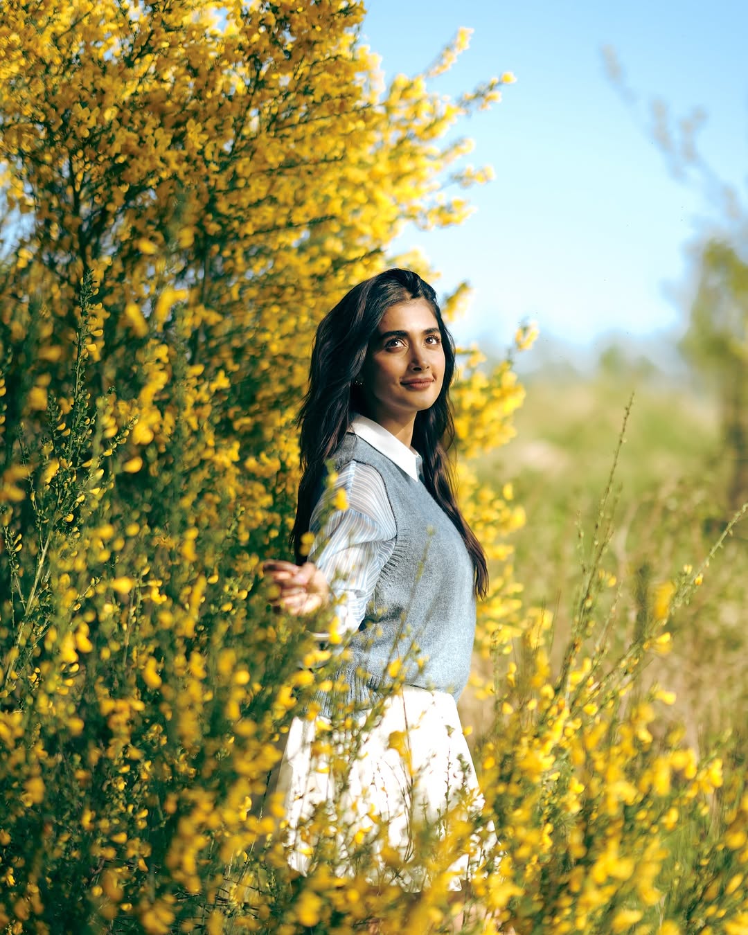 Actress Pooja Hegde Photo Gallery