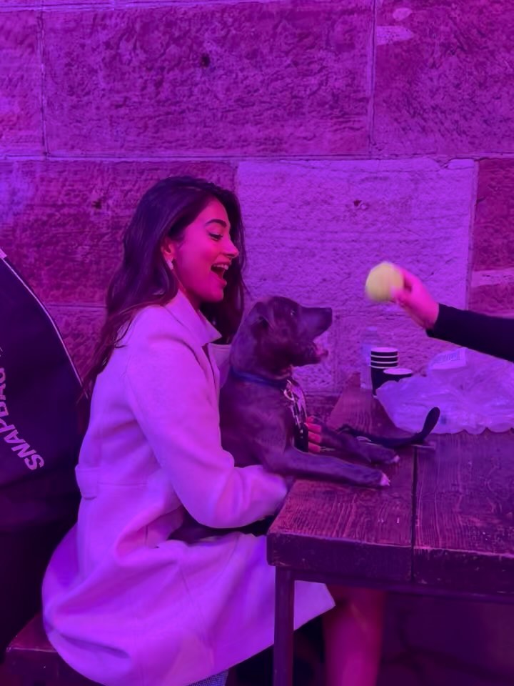 Actress Pooja Hegde Photo Gallery