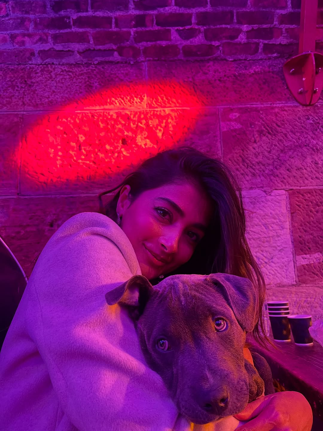 Actress Pooja Hegde Photo Gallery