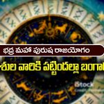 Zodiac Signs: భద్ర మహా పురుష రాజయోగం – ఆ మూడు రాశుల వారి తలరాతే మారిపోతుంది.