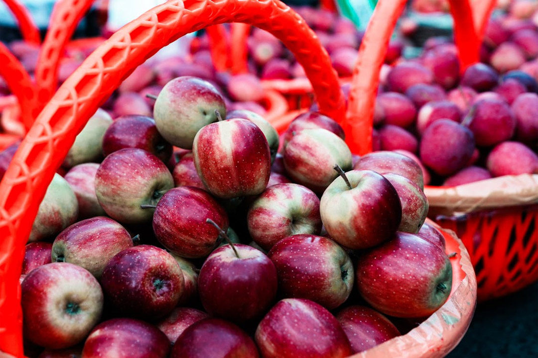 Apple Side effects: యాపిల్స్ మంచివి కదా అని ఎక్కువగా తినేస్తే ఏం అవుతుందో తెలుసా?