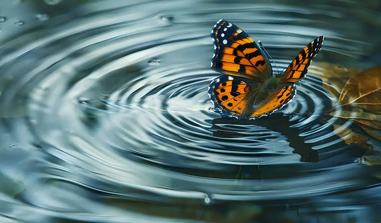 Butterfly effect: సీతాకోకచిలుక రెక్కలు ఆడిస్తేనే తుఫాను వస్తుందా? సైన్ ఏం చెబుతోంది?