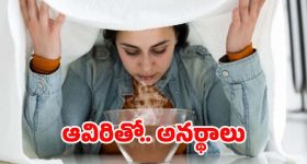 Hebah Patel : చీరలో హొయలొలికించే అందాలతో ఓదెల బ్యూటీ హెబ్బా పటేల్..