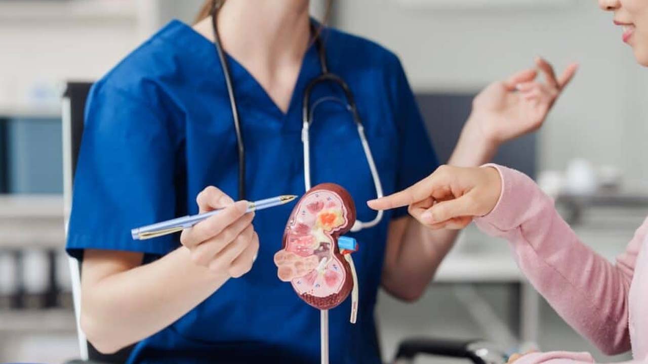 Kidney Diseases: ఇలా చేస్తే.. కిడ్నీలు తొందరగా పాడవుతాయ్