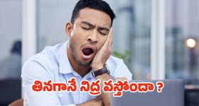 Sleepy After Eating: తినగానే నిద్ర వస్తోందా ? కారణాలివే !