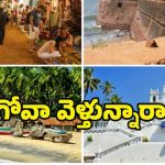 Goa Tour: బ్యాచిలర్స్ మాత్రమే కాదు.. గోవాకు ఫ్యామిలీతో వెళ్లి ఈ ప్రదేశాల్లో ఫుల్ ఎంజాయ్ చేయొచ్చు