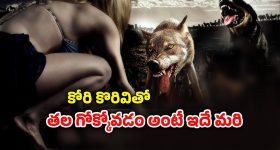 Shastipootthi Review : 'షష్టిపూర్తి' మూవీ రివ్యూ...