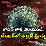 COVID-19 Virus: ఆ బ్లడ్ గ్రూప్ వారికి కోవిడ్ ఇట్టే సోకుతుందా? అప్రమత్తం కాకుంటే అనర్థాలే!
