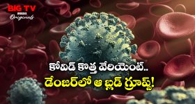 Glowing Skin Tips: పాలతో రోజూ ఇలా చేస్తే.. అందమైన మెరిసే చర్మం మీ సొంతం